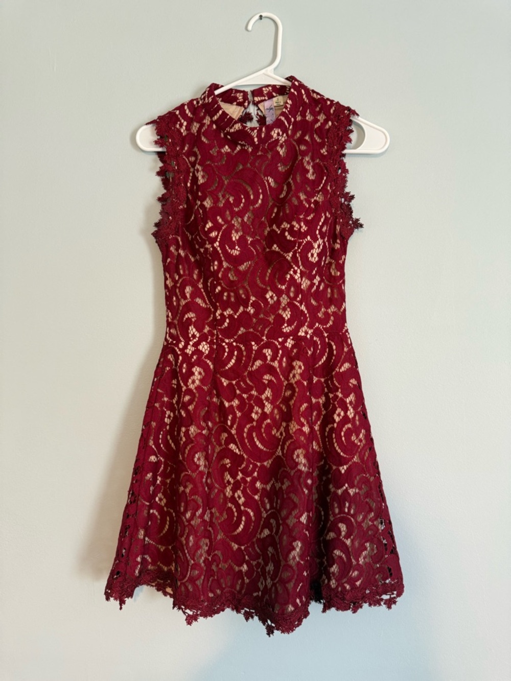 Francesca's Collections Ayla Burgundy Lace Open Back Dress Sz S